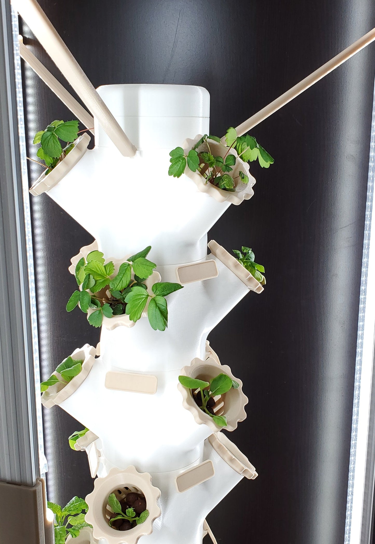 24 Plants Hydroponic Tower with Lights