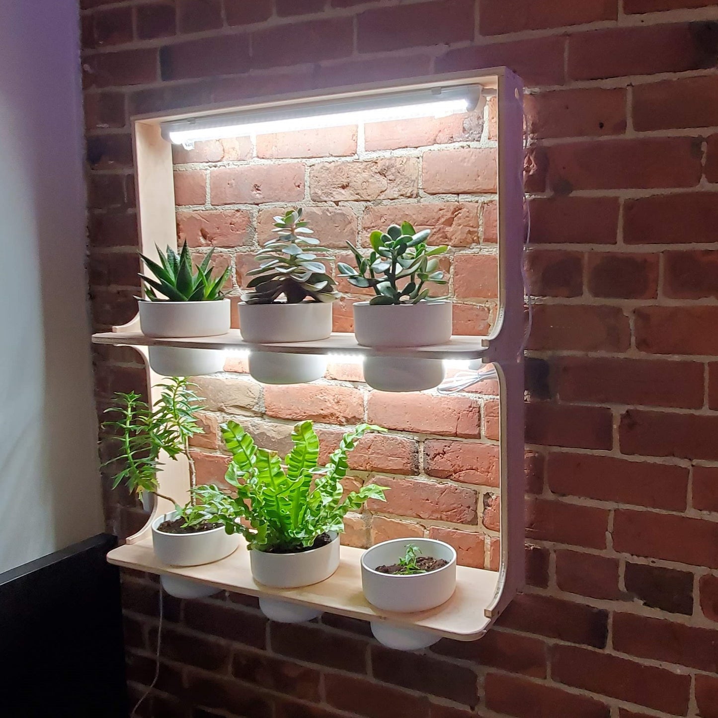 Plant Shelf Wall Mount With Grow Lights