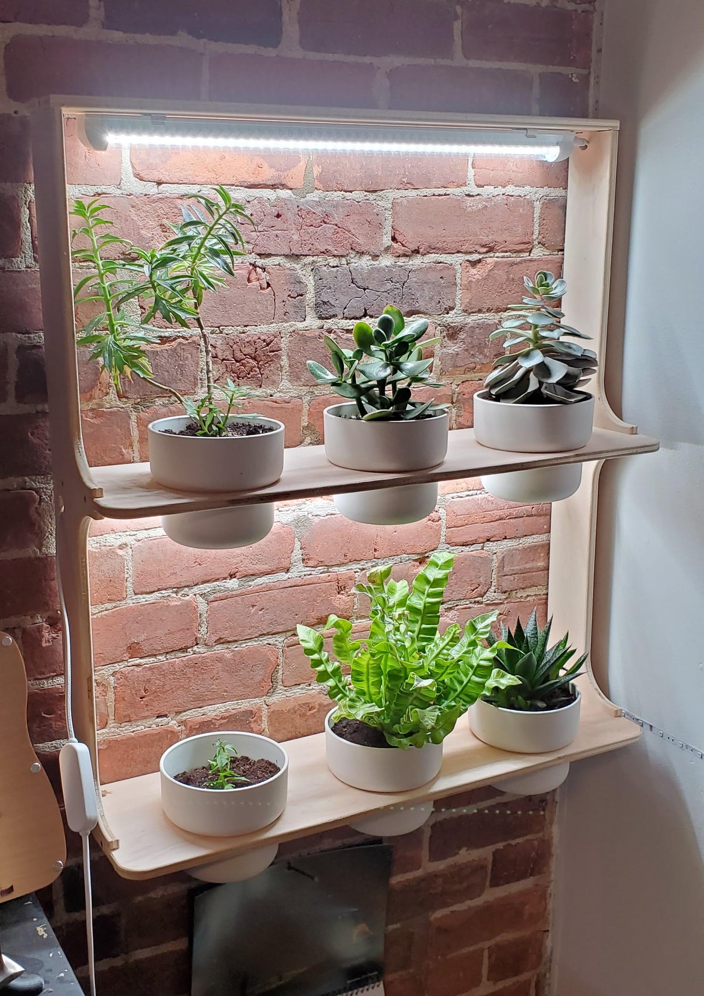 Plant Shelf Wall Mount With Grow Lights